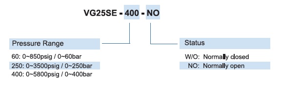 Vigour VG25E Series