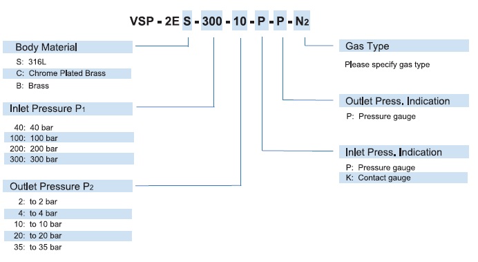 Vigour VSP-2E Series